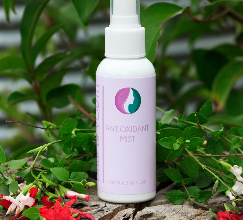 Antioxidant Mist 100ml